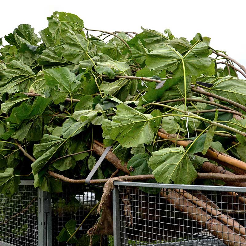 1'' X 15' gummibelagt håndtak skrallestropp med vinylbelagte trådkroker